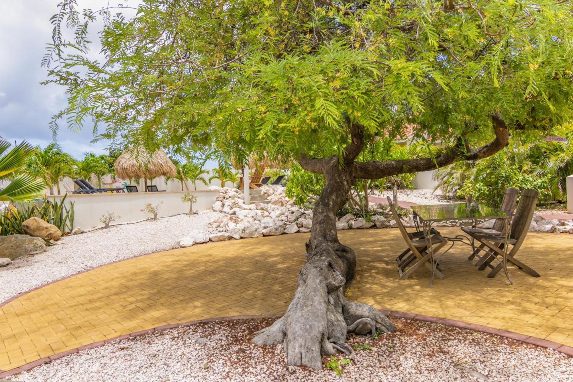 Abc Lodges Curacao Willemstad Luaran gambar