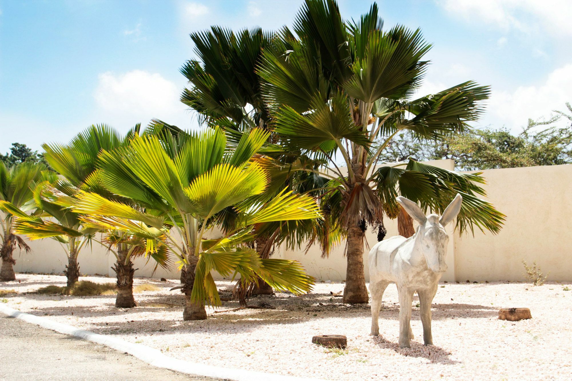 Abc Lodges Curacao Willemstad Luaran gambar